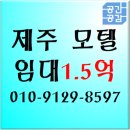 공간그리고공감부동산중개주식회사 이미지