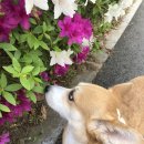 달리는커피 김포고촌점