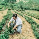 박문기농장 이미지