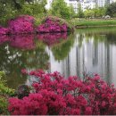 고잔근린공원 이미지