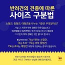 공항 가까운 전원주택 펫시터 이미지