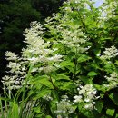 우각리 오의정 이미지