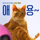 조동약국 이미지