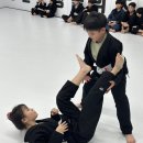 존프랭클 위즈덤 주짓수 이미지