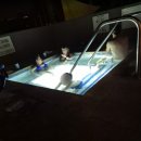 트리밸리 | [미국 한달 여행 #26] 샌디에이고 5박 6일 (1) - 더블트리 바이 힐튼 호텔 샌디에이고 미션 밸리 숙박 후기