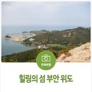 포유디해운 이미지
