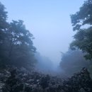 [곡성 가볼만한곳] 안개 속의 반전 매력, 아미산 천태암 등산 코스 방문 솔직 후기 (feat. 애추사면 뜻)
