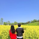 관식이 농장 이미지