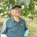 꿀사랑 양봉 이미지