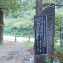 당숲길 이미지