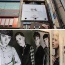 반 헤어 (Van hair)