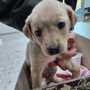 태민동물병원 이미지