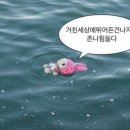 밀선생 Daum카페