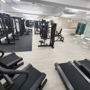 바디스케치 네이버블로그