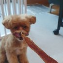 너를 위한 우주 이미지