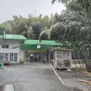 죽림원 | [내돈내산] 어서와 한국이지에서 나온 대통밥집 담양'죽림원가든'