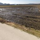 향남역로또공인중개사사무소 이미지