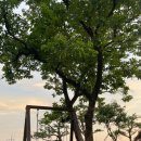 Re: 뒷풀이 장소및 최종모임장소 집결후 산행 시작 시간 체크해주세요 이미지