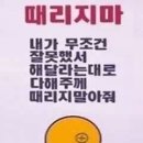 카톡테마 기본인 빵블리들 무슨배경화면 색깔임 ㅇㅅㅇ? 이미지