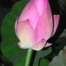 석산한의원 이미지