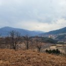 정영농장 이미지