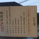 세운바이크 Daum카페