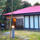 봉성목장 | 조용한 제주 마을의 감성 독채펜션 숙소 봉성돌담집 한옥 숙박후기