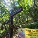 정선펜션1박2일 | 민둥산 1박2일 뚜벅이 후기