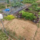 오삼농장 이미지