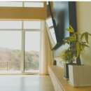 스테이 703 이미지