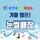 용인대 성민 태권도 이미지