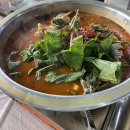 속초 맛집 추천 소담식당+갈메기 횟집+만석닭강정