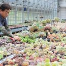 범용농장 이미지