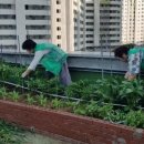 철산1동 행정복지센터 이미지