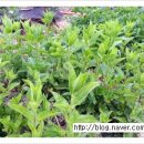 우석농장 이미지