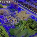 고기싸롱광장