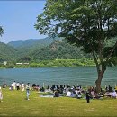 삼회리 강변 자전거길 네이버블로그