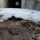 삼마농장 이미지