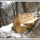 원도봉산 산행.(2016년 1월1일,금). 이미지