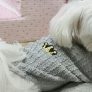 예쁘개해줄개 이미지