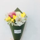 Freesia. 프리지어. 후리지아. 깨끗한 향기....1 이미지