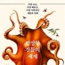 매슈포유 이미지
