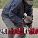 여행가고싶다 이미지