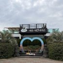 ㈜한타제주판매 | 제주 레일바이크 꼭 타야 할까? 직접 타본 내돈내산 리얼 후기