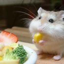 임프로PC 이미지