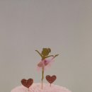 루나무용학원 이미지