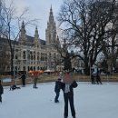 아이스마켓 | 2025 비엔나 시청사 크리스마스 마켓 아이스링크 예약 링크 후기