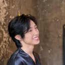 짐나빌레라 이미지