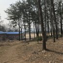 회암사지 유아숲체험원 이미지