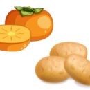 장천초등 병설 이미지